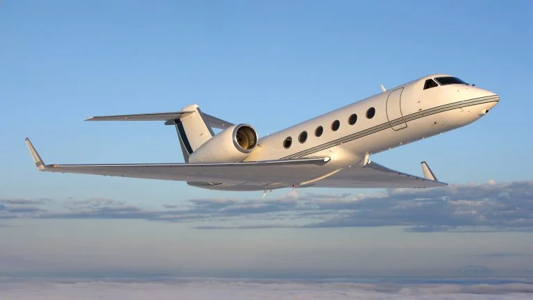 Freelance graphiste création logo